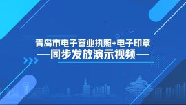 青岛市电子营业执照+电子印章同步发放演示视频